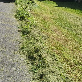 TerraSafe Pest & Landscape - Another angle of the finish mowing how it was left - Pest Control Near Me TerraSafe Pest & Landscape - Another angle of the finish mowing how it was left - Pest Control Near Me