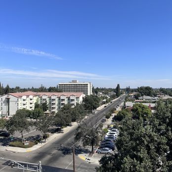 Elderwood - Cocktail Bars Near Me - Visalia, California