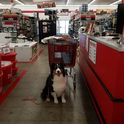 Tractor Supply