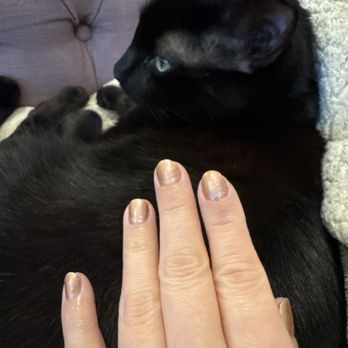 Sally's Spa - Regular manicure - Nail Salons Near Me - Burlingame, California