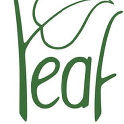 Leaf Therapeutic Massage