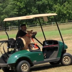 Viking Meadows Golf Club - Violent ranger - will use dog and golf clubs as weapons