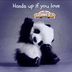 Stoney's Liquor