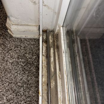Cleaning Prodigies - Before: Sliding door buildup from pet hair & debris - Home Cleaning Near Me - Clifton, Colorado Cleaning Prodigies - Before: Sliding door buildup from pet hair & debris - Home Cleaning Near Me - Clifton, Colorado