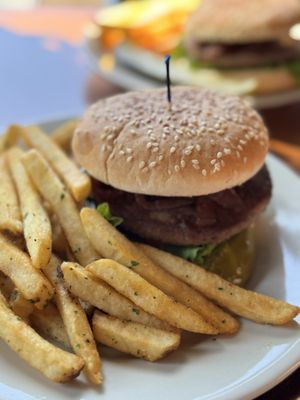 Mad Dog in the Fog by null