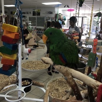 Omar's Exotic Birds - Pet Sitting Near Me - Lake Forest, California Omar's Exotic Birds - Pet Sitting Near Me - Lake Forest, California