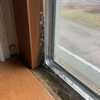 Larson Home Services - more mold from the condensation - Roofing Near Me - Arlington, Wisconsin Larson Home Services - more mold from the condensation - Roofing Near Me - Arlington, Wisconsin