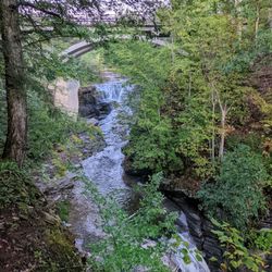 Mine Kill State Park - Instagram: @telephonesmoothie