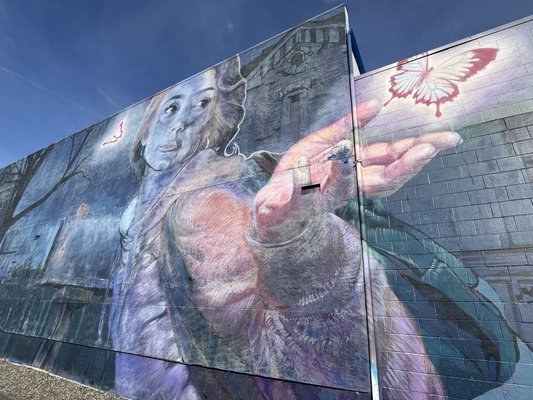 Napa Valley Vine Trail by null