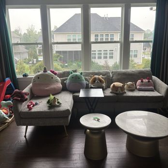 First Lady Cleaning NC - Living room - Home Cleaning Near Me