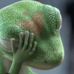 Geico - Geico gecko shame