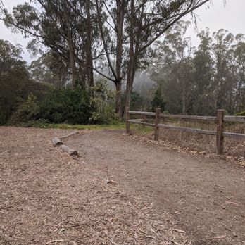 Mount Sutro - Parks Near Me - San Francisco, California