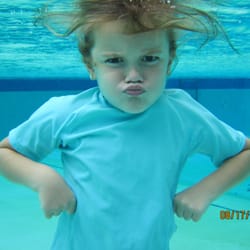 Mischas Fishes