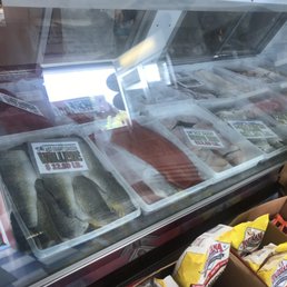 fish in a display case fish in a display case
