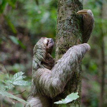 Where Vacation Dreams Come True - Costa Rica - Travel Services Near Me Where Vacation Dreams Come True - Costa Rica - Travel Services Near Me