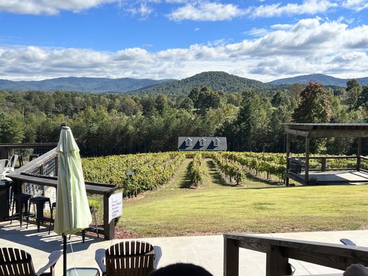 Ott Vineyards And Winery by null