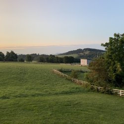 Windswept Cabin at Red Roof Farm - Scenery from back deck