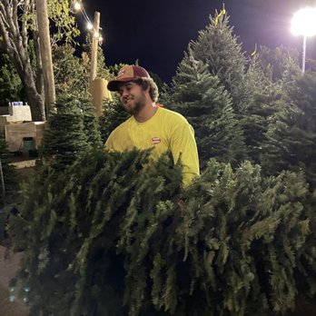Moon Valley Nurseries - Andy getting our tree from the lot - Nurseries & Gardening Near Me - Phoenix, Arizona Moon Valley Nurseries - Andy getting our tree from the lot - Nurseries & Gardening Near Me - Phoenix, Arizona