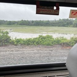 Rhinecliff Amtrak Train Station - Marsh