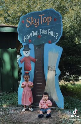 Sky Top Orchard by null