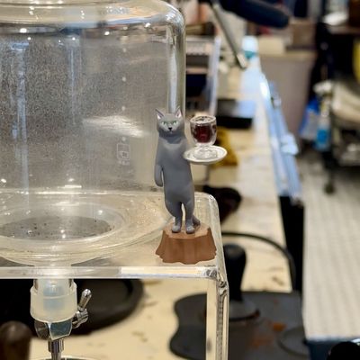 KIJITORA East by null