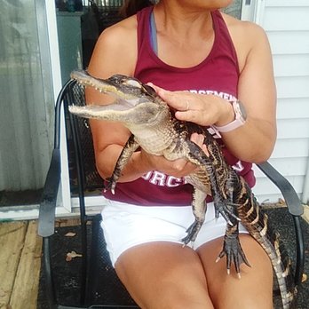 Captain Fred's Airboat Tours - Boat Tours Near Me - Lake Hamilton, Florida