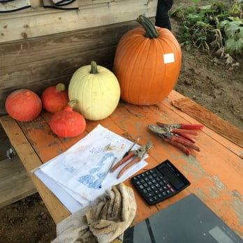 Jerry's Pumpkin Patch - some pumpkin examples - Fruits & Veggies Near Me - Pilsach, BY Jerry's Pumpkin Patch - some pumpkin examples - Fruits & Veggies Near Me - Pilsach, BY