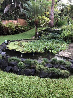 Orchid Tree Bed & Breakfast by null