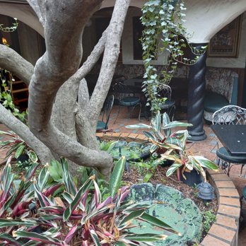 Kalachandji's - Center Courtyard fountains with sprawling tree limbs overhead. - Vegetarian Near Me - Dallas, Texas