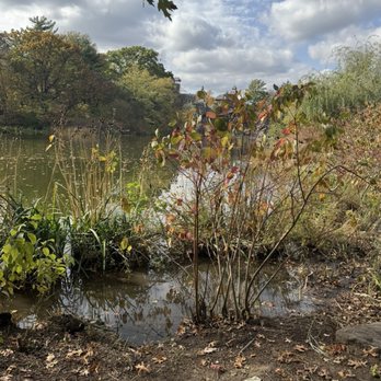 Central Park Conservancy - Parks Near Me - New York, New York Central Park Conservancy - Parks Near Me - New York, New York
