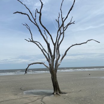 Botany Bay Plantation - Tide is out - Parks Near Me - Edisto Island, South Carolina