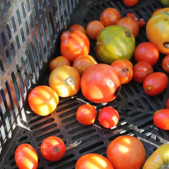 Stearns Farm CSA - CSA Near Me - Framingham, Massachusetts