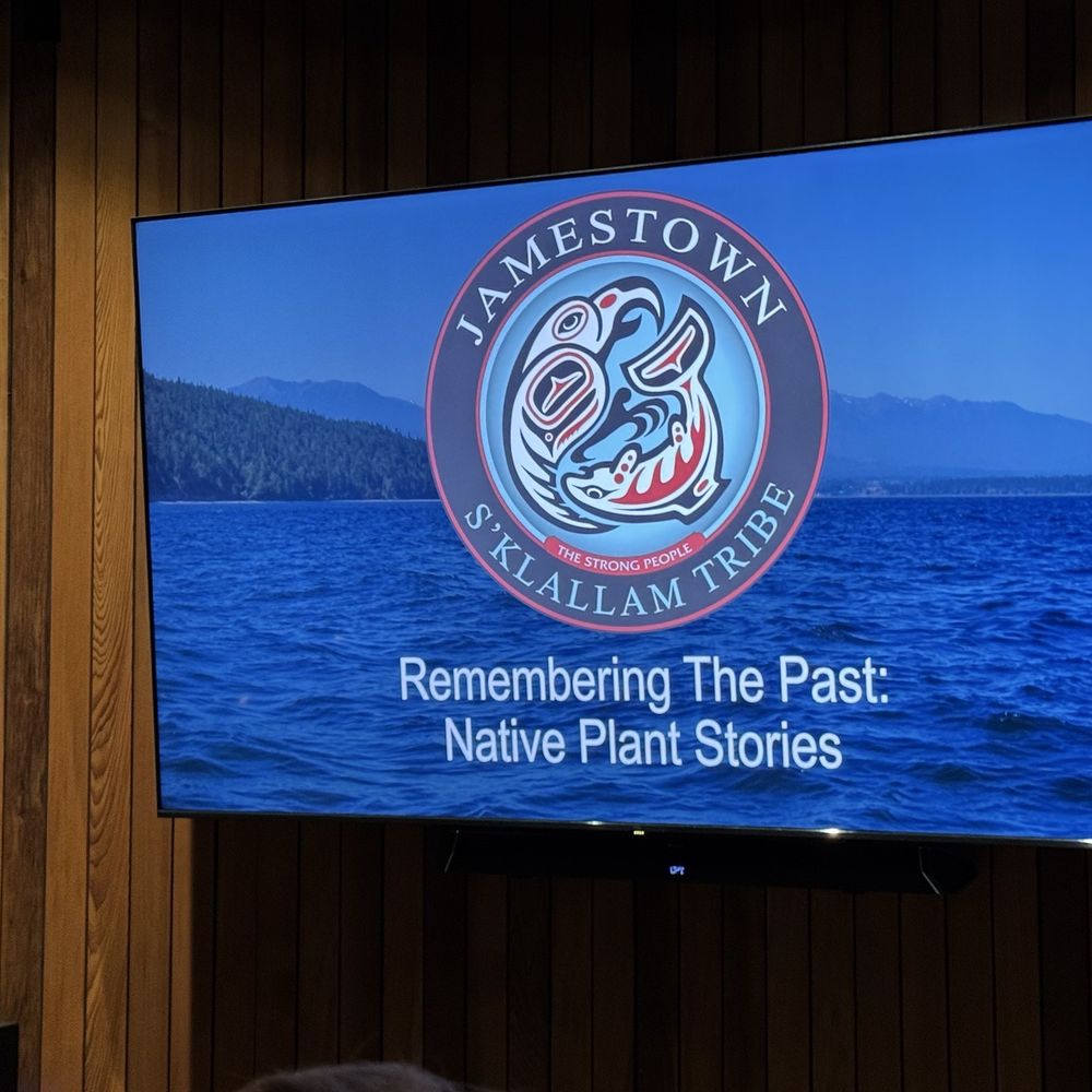 Jamestown S'Klallam Tribe Library - Wonderful informative films on a loop - Cultural Center Near Me - Sequim, Washington Jamestown S'Klallam Tribe Library - Wonderful informative films on a loop - Cultural Center Near Me - Sequim, Washington