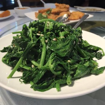 Won Kok Restaurant - Pea sprouts - Chinese Near Me - San Francisco, California Won Kok Restaurant - Pea sprouts - Chinese Near Me - San Francisco, California