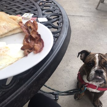Cafe Elysa - Very Dog friendly! - Coffee & Tea Near Me - Carlsbad, California