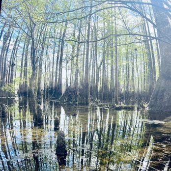 Morrison Springs - Parks Near Me - Ponce de Leon, Florida