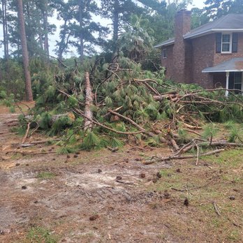 Bland's Tree Service - Tree Services Near Me - Allenhurst, Georgia Bland's Tree Service - Tree Services Near Me - Allenhurst, Georgia