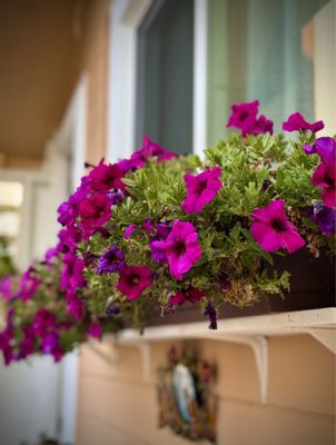 St. Nicholas Cathedral by null