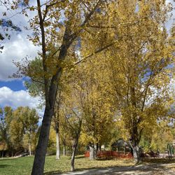 Little Toots Park