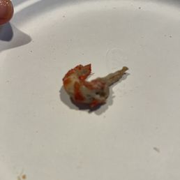 Crawfish
