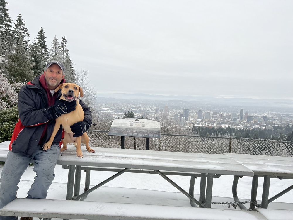 YAPPY DOG PET GROOMING 180 Photos & 46 Reviews 6715 SW Beaverton