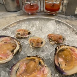 West Coast Little Necks