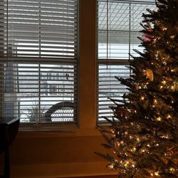 Snowfresh Christmas Trees - Live Christmas tree from here!