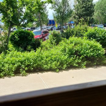 Smashburger - a view of a parking lot from a window - Burgers Near Me - Lakewood, Colorado Smashburger - a view of a parking lot from a window - Burgers Near Me - Lakewood, Colorado