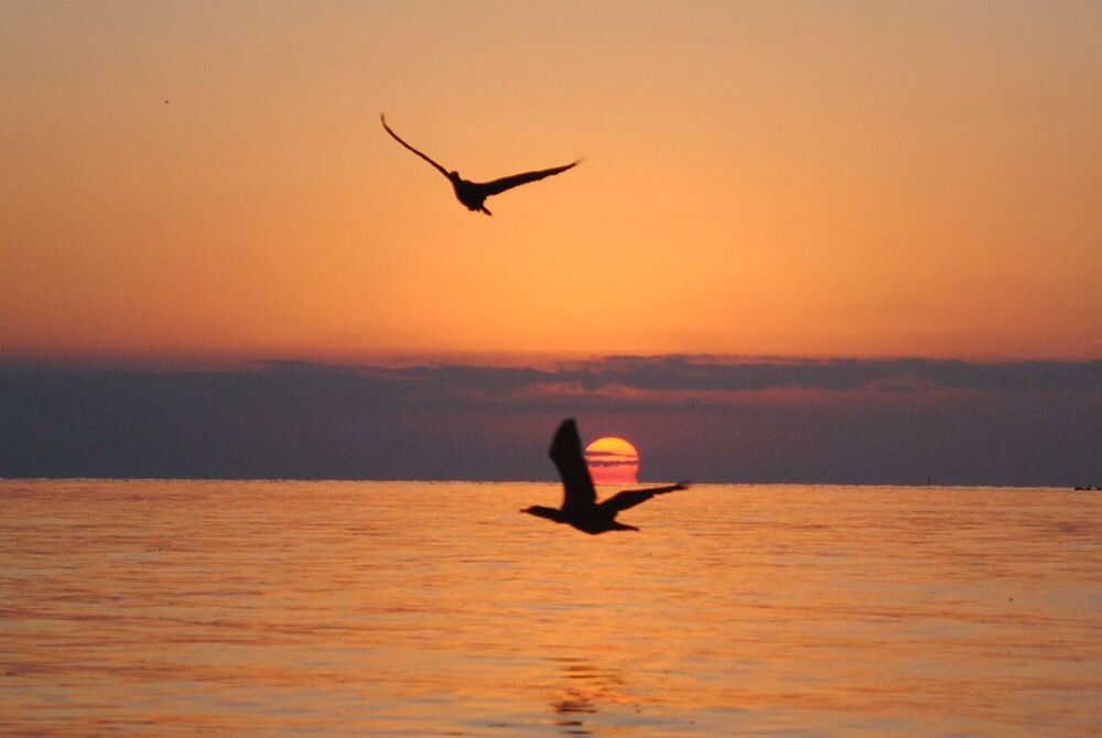 LELA ASHKARIAN COLDWELL BANKER SCHMITT REAL ESTATE 74 Photos 11050 Overseas Hwy, Marathon