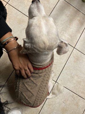 Pete’s Pet Supply by null