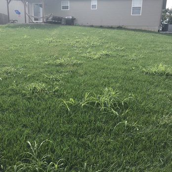 Munie Greencare Professionals - Irrigation Near Me - Caseyville, Illinois
