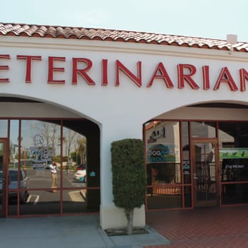 Founders Veterinary Clinic - Veterinarians Near Me - Brea, California Founders Veterinary Clinic - Veterinarians Near Me - Brea, California