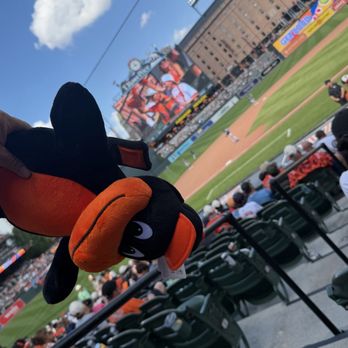 Oriole Park At Camden Yards - Fun ! - Stadiums & Arenas Near Me - Baltimore, Maryland Oriole Park At Camden Yards - Fun ! - Stadiums & Arenas Near Me - Baltimore, Maryland