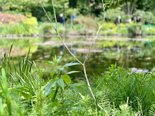 Maison et jardins de Claude Monet - Giverny by null